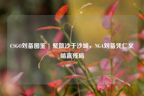 CSGO刘备图鉴 | 聚散沙于沙城,NGA刘备凭仁义啃赢残局