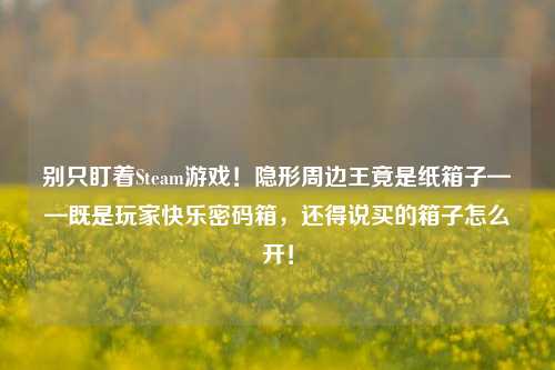 别只盯着Steam游戏!隐形周边王竟是纸箱子——既是玩家快乐密码箱,还得说买的箱子怎么开!