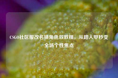 CSGO社区服改名换角色双教程,从路人甲秒变全场个性焦点