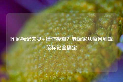 PUBG标记失灵+操作模糊？老玩家从原因到规范标记全搞定