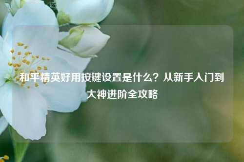 和平精英好用按键设置是什么？从新手入门到大神进阶全攻略