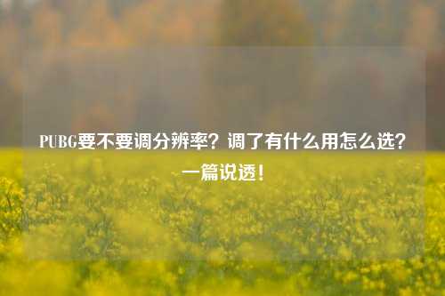 PUBG要不要调分辨率？调了有什么用怎么选？一篇说透！