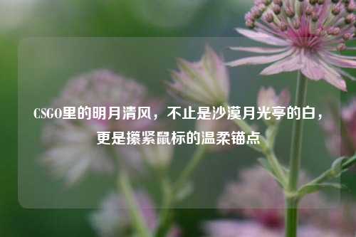 CSGO里的明月清风,不止是沙漠月光亭的白,更是攥紧鼠标的温柔锚点