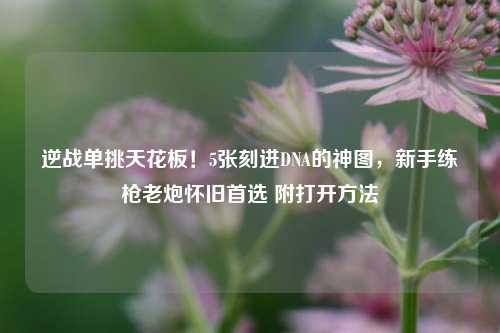 逆战单挑天花板！5张刻进DNA的神图，新手练枪老炮怀旧首选 附打开方法