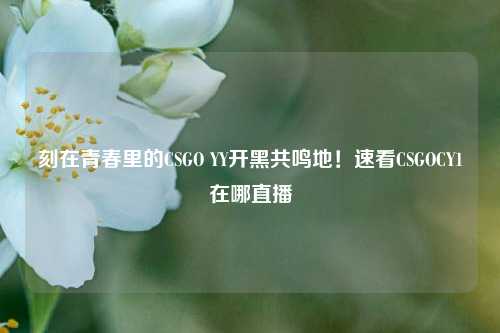 刻在青春里的CSGO YY开黑共鸣地！速看CSGOCY1在哪直播
