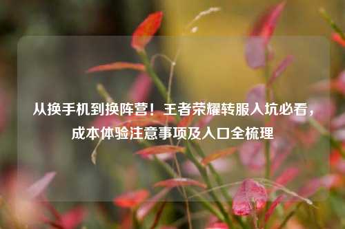从换手机到换阵营！王者荣耀转服入坑必看，成本体验注意事项及入口全梳理