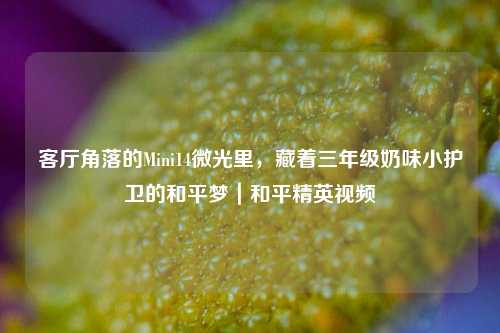 客厅角落的Mini14微光里，藏着三年级奶味小护卫的和平梦｜和平精英视频