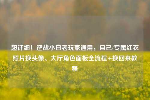 超详细！逆战小白老玩家通用，自己/专属红衣照片换头像、大厅角色面板全流程+换回来教程