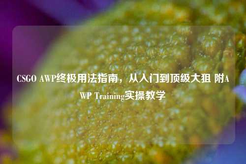 CSGO AWP终极用法指南,从入门到顶级大狙 附AWP Training实操教学