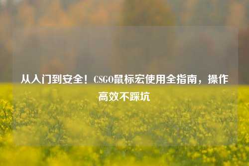 从入门到安全!CSGO鼠标宏使用全指南,操作高效不踩坑