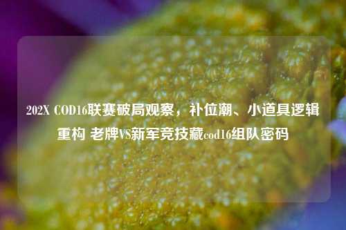 202X COD16联赛破局观察,补位潮、小道具逻辑重构 老牌VS新军竞技藏cod16组队密码
