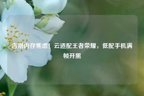 告别内存焦虑！云适配王者荣耀，低配手机满帧开黑