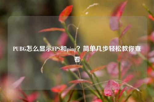 PUBG怎么显示FPS和ping？简单几步轻松教你查看