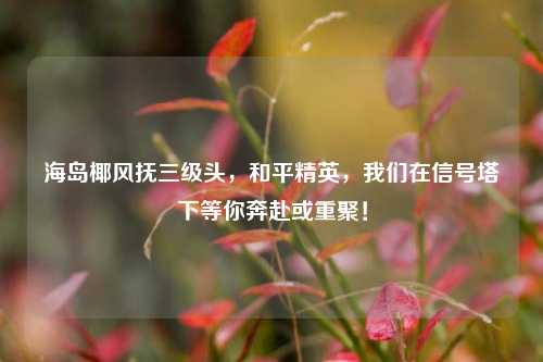 海岛椰风抚三级头，和平精英，我们在信号塔下等你奔赴或重聚！