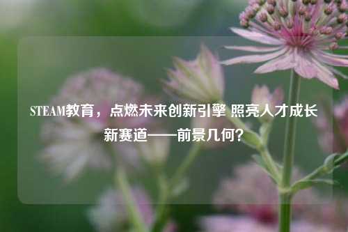 STEAM教育,点燃未来创新引擎 照亮人才成长新赛道——前景几何?