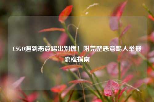 CSGO遇到恶意踢出别慌！附完整恶意踢人举报流程指南