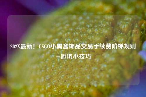 202X最新！CSGO小黑盒饰品交易手续费阶梯规则+避坑小技巧